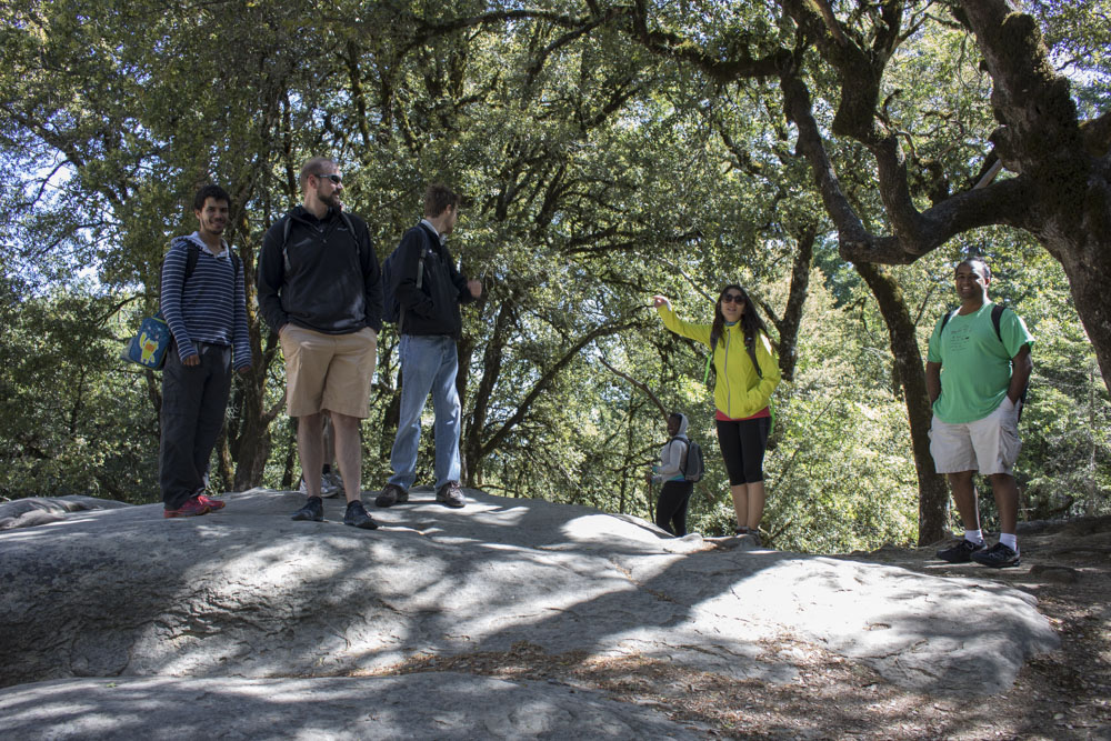 Picture of 160430 Castle Rock Hike